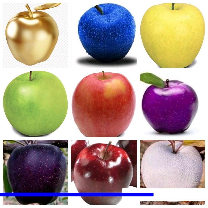 التفاح أشجار اكتشفت نظرية بفضل تسارع الجاذبية